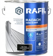 RAFIL RADACH 10L ČIERNA R. 9005 LESK