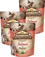 CARNILOVE LOSOS PRE ŠTENIATKA S LOSOSOM 6x300g