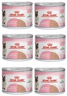 Royal Canin BABYCAT Instinktívne krmivo 6x195g