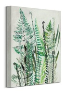 Obraz na plátne Shyama Ruffell Ferns 30x40 cm