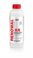 DYNASIL RENOWAL CLEANER KR 1 L, výkvety, CEMENT