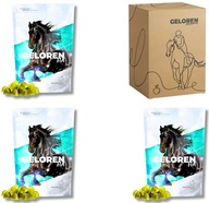 Geloren Horse HA jablko pre kone kolagénové želé 3 x (60 ks, 450 g) fj3BP22