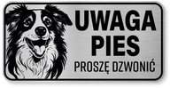 Pozor pes Border Collie sign