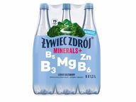 Żywiec Zdrój Minerály+ jemne sýtená voda 6x1,2l