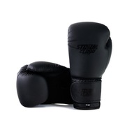 Boxerské rukavice StormCloud Rookie Matte Black 12 oz