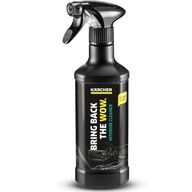 Čistič interiéru KARCHER RM 651 Spray