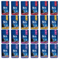 BRIT FAMILY Tanier Chunks Mokré krmivo pre mačky MIX 48 x 100 g sada sáčok