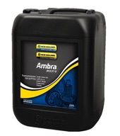 AMBRA MULTI G OLEJ 10W30 20L