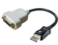 Dell DisplayPort (DP) je DVI-D