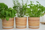 Kvetináče HERBS SET set, imitácia bambusu