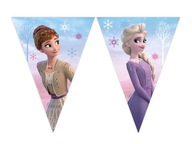 Vlajka Frozen 2 - Frozen Birthday