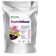 FosfoPower 1KG zvyšuje dostupnosť fosforu