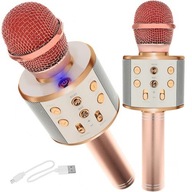 KARAOKE MIKROFÓN S BLUETOOTH AUX REPRODUKTOR SDCARD S HLASOVOU MODULÁCIOU