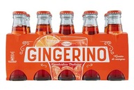 Gingerino nealkoholický aperitív 10x100ml