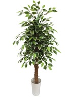 Umelý Ficus Ficus Umelý stromček 130cm