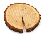 DUBOVÁ OMIETKA drevené plátky s hrúbkou 3 cm a dĺžkou 25-30 cm