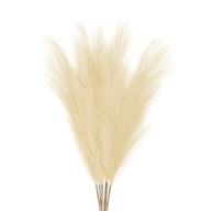 Umelá Pampas Grass ORNA Béžová, 114cm, 6 ks