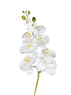 BIELA ​​ORCHIDEA UMELÝ KVET ORCHIDEA Vetvička 103