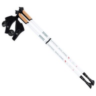 ODOLNÉ PALICE NA NORDIC WALKING SMJ Black