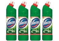 Domestos Pine Fresh WC gélové WC s chlórom 750 ml