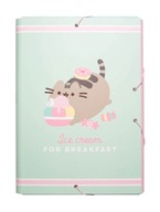 Pusheen zložka A4 s občerstvením uzavretá gumičkou