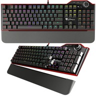 MECHANICKÁ KLÁVESNICA GENESIS GAMING E-SPORT RGB