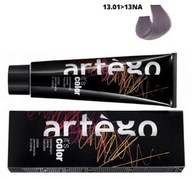 ARTEGO Farba 150ml It's Color 13/01