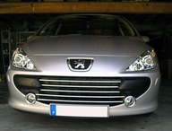 PEUGEOT 307 Lift CHROME GRILL lamely atrapa Tuning