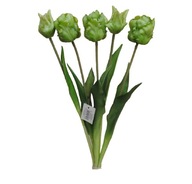 TULIPÁN *5 kytice silikónová guma 47 cm zelená