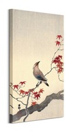 Japonský obraz Waxwing od Koson Ohara 30x60 cm