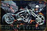 Ozdobná plaketa Motor Harley Davidson Skull