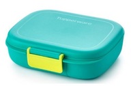 Tupperware Lunch Box