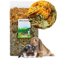 Základná zmes 500G Factoryherbs Delications Mixum 0,5 kg pre hlodavce