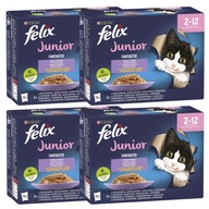 PURINA Felix JUNIOR mokré krmivo pre mačiatka, mix príchutí 48x85g