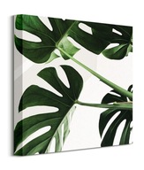 Obraz Listy Flower Monstera na plátne 40x40 cm