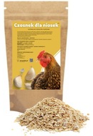 Kŕmny cesnak 1 kg HRUBÝ