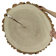 POPUL WOOD SLICE TOP na konferenčný stolík 144441