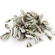 Biela šalvia (sušená 100g) čistiace kadidlo (White Sage / SALVIA APIAN