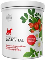 TEMPTATION LACTOVITAL 500g Podpora laktácie