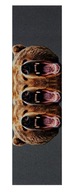 Grizzly skateboard grip - 3 Bears