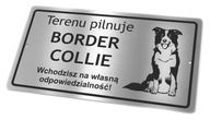 Oceľový nápis INOX ATTENTION DOG - Border kólia