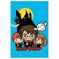 Fleecová deka Harry Potter: 100 cm x 150 cm (602766)