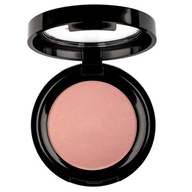 Pierre Rene Professional Rouge Powder lícenka 09 6g P1