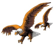 Nálepka Eagle in flight Eagles Large Small Eagle TIR