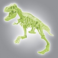 FOSSIL T-REX SKELETON DARČEK 7 8 9 ROKOV