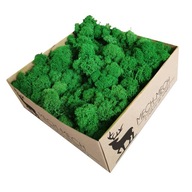 500 g Crispy Green Premium Clean Moss