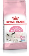 ROYAL CANIN Mother & Babycat 2kg