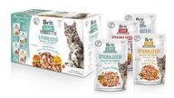 BRIT CARE FILLETS STERILIZOVANÁ FLAVOR BOX 12X85g