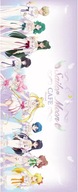 Bishoujo Senshi Sailor Moon bssm_043 A2 (vlastné)