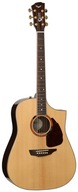 Elektroakustická gitara Samick SGW S-750D / NAT